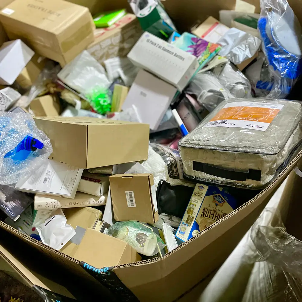 Amazon's own Bulk Liquidations Store